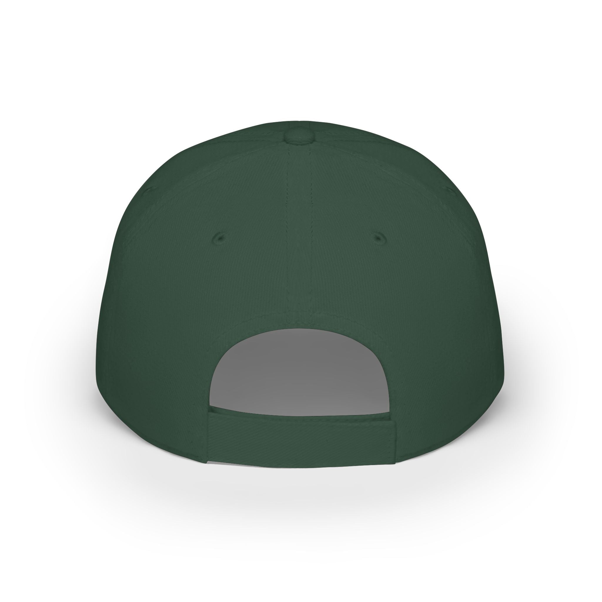 That's Not My Problem Cap — Low Profile Baseball Hat with Bold Text